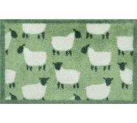 Turtle Mat, Small 40x60cm Sheep Green Highly absorbent Indoor barrier mat with Multi-Grip backing
