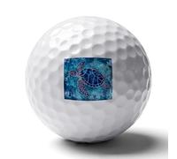 Turtle Ocean Daisy Flowers Golf Balls for Men Golfers Distance Straighter Shots Funny Ball