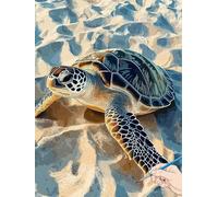 Turtle Paint by Numbers for Adults Animals Painting by Numbers for Aadults Kids, Canvas Oil Paintings with Acrylic Pigment Kits Hobbies for Adults Women for Christmas Decorations Gifts 30x40cm H-75
