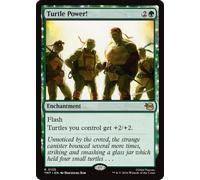 Turtle Power! | Teenage Mutant Ninja Turtles