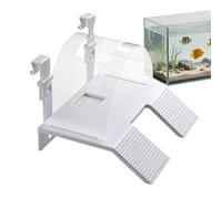 Turtle Ramp Double Ladder Salamander Resting