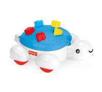 Turtle Shape Sorter Toy with Wheels, 5 Pieces