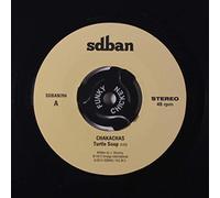 turtle soup / tileto