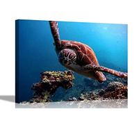 Turtle Swimming in Reef Canvas Wall Art Prints Bird Pictures Animal Artwork Home Bedroom Garden Decor Framed Posters 40 x 30cm (16 x 12 inches)