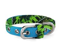Turtle Swimming in The Sea Pet Collar Easy Snap on Buckle Adjustable Collar with 5 Hole Positions Training Collar for Large Medium and Small Pets,Pet Supplies,Stuff,Accessories