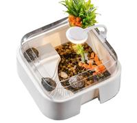 Turtle Tank Starter Kit, Small Turtle Feeding Tank With Basking Area & Light For Reptiles, Beginners Use