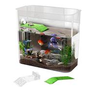 Turtle Tank Transparent Terrarium Amphibians Tortoise Crayfish Basking
