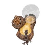 Turtle Water Bowl | Reptile Feeding Dish | Chameleon Water Bowl - for Turtle Tortoise Bearded Dragon Snake Lizard Chameleon Leopard Gecko Terrarium Enclosure