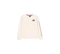 Alpha Industries Camo Sleeve Sweatshirt Beige XL Man