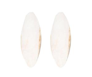 Turtles Cuttlebone - 2 Pieces Bird Beak Grinding Stone | Natural Cuttlefish Bone With 5.9-7.8 Inch Size, Beak Care Tool For Parakeets Parrots Canaries Cockatiels Reptiles Aquarium Pets