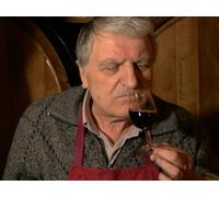 Tuscany's Dolce Vita