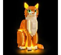 Tusedna LED Light Kit Compatible with Lego 21376 Ideas Orange Cat Set, Light Kit for Lego 21376 Building Blocks Model, Not Included The Model Set