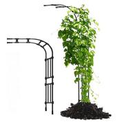 Tuteur pour Vignes Grimpantes Support de Jardin pour Plantes Grimpantes Extérieure 240cm x 267cm Idéal pour Patio et Pelouse