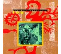 Tuu - All Our Ancestors