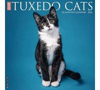 Tuxedo Cats 2026 12" x 12" Wall Calendar