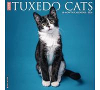 Tuxedo Cats 2026 Wall Calendar