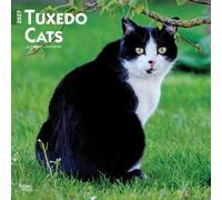 Tuxedo Cats 2027 12 X 24 Inch (Hanging) Monthly Square Wall Calendar Plastic-Free: Original BrownTrout-Kalender [Mehrsprachig] [Kalender]