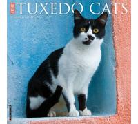 Tuxedo Cats 2027 Wall
