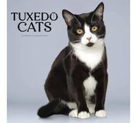 Tuxedo Cats Calendar 2026
