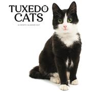 Tuxedo Cats SS ML Wall