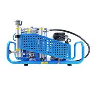 TUXING 4500Psi 300Bar High Pressure Diving Compressor PCP Air Compressor Auto Stop,3.5CFM 100L/min Air Flow for Scuba Breathing Snorkeling Water Sport Paintball 220V 50HZ Single-Phase