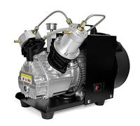 TUXING 4500Psi Pcp Air Compressor, Mini-Double Cylinder High Pressure for Scuba Tank Filling, Paintball - 110V (TXEDM041)