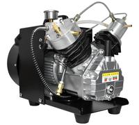 TUXING 4500Psi Pcp Air Compressor, Scuba Tank Air Compressor, Mini-Double Cylinder High Pressure Air Compressor for Paintball/Scuba Tank Filling 220V (TXEDM041)