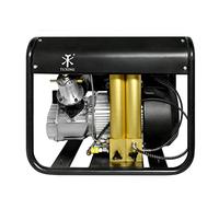 TUXING 4500Psi Scuba PCP Air Compressor,PCP High Pressure Compressor Built-in Two Stage Water-Oil Filter, Compressor for Scuba Diving/Firefighting/Paintball 220V (TXEDM042)