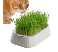 Tuxuseo Earthless Cat Grass Growing Set, Removable, Reusable, 2-Stage Plant Tray, Plant Pot for Growing Cat Grass - For Placing Indoors and Outdoors