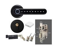Tuya APP Bluetooth-compatible Remote Control Smart Fingerprint Biometrics Lock For Indoor Wooden Metal Door DIY Easy Installation(C6 Kit D)