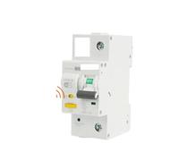TUYA MCB With metering Smart Miniature Circuit Breaker AC Type Smart Life Remote control Timed 2P 3P EKR3S NWPNLXEA(2p,63A)