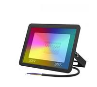 Tuya Smart WiFi LED Floodlight 30W 50W 100W Color Changing LED Flood Light IP66 RGB Warm Cool White Vioce Control(30W 220V)