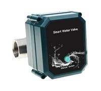 Tuya Smart ZigBee Electric Motorized Ball Water Valve Stainless Steel Garden Irrigation Remote Control(DN15)