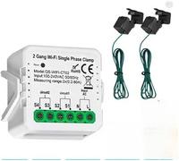 Tuya WiFi Smart Power Meter 2CH 80A - Energy Consumption & Solar PV Production Monitor, Current Transformer Clamp, Real-Time Power Tracking