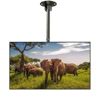 Tv Bracket Ceiling Telescopic - Height Adjustable Monitor Ceiling Mount, For 32-60 Inch Lcd Led Plasma, Capacity 75Kg,L 1.5M