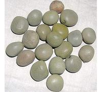 TV Kalarchikai (Caesalpinia Bonducella) 250 Grams