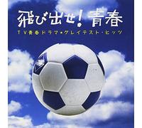 TV SEISHUN DRAMA GRATEST HITS