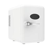 TVAFEDS Mini Fridge Mini Multifunction Refrigerator Cosmetics Mask Beverage Dormitory Refrigerators Cooler Warmer Beauty Fridge For Home