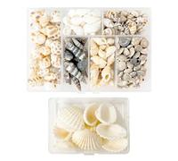 TVSVKWE 1 Set Of Shells And 1 Set Of Conch, Equipped With 2 Storage Boxes, Diy Handicraft Materials, Fish Tank Decorations, Jewelry Making.