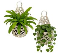 TW1TGOFT 2Pack Macrame Plant Hanger - Hanging Plant Holder Indoor Cotton Handmade Plant Hanging Basket Boho Home/Balcony Decor Gift for Plant Lovers (White)