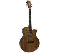 TW4E Electro Acoustic Guitar - Pacific Walnut