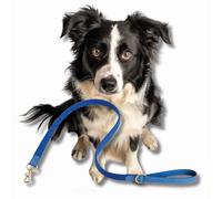 Tweed & Blue Leather Dog Lead, Medium Dogs & Puppies, Handcrafted in UK, Vegetable-Dyed Italian Leather and Genuine Harris Tweed Luxury Designer Pet Leash (Medium)