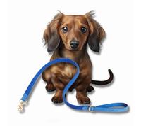 Tweed & Blue Leather Dog Lead, Small Dogs & Puppies, Handcrafted in UK, Vegetable-Dyed Italian Leather and Genuine Harris Tweed Luxury Designer Pet Leash (Small)