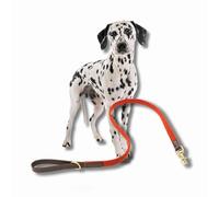 Tweed & Orange Leather Dog Lead, Medium Dogs & Puppies, Handcrafted in UK, Vegetable-Dyed Italian Leather and Genuine Harris Tweed Luxury Designer Pet Leash (Medium)