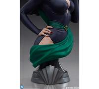 Tweeterhead 1/3 Catwoman Bust