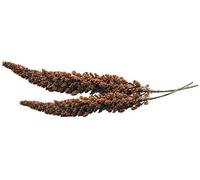 Tweeter's Treats Millet Ears, Red and Yellow