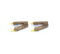Tweeter's Treats Seed Sticks for Parrots - Honey, 100 g (Pack of 2)