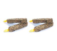 Tweeter's Treats Seed Sticks for Parrots - Honey, 100 g (Pack of 2)