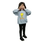 Tweety Angry Sweatshirt Looney Tunes Grey 12-13 Years