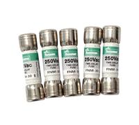 TWEFTPKD 10PCS Fuse FNM-1/2/3/4/5/6/7/8/10/12/15/20/25/30 1A 2A 3A 4A 5A 6A 7A 8A 10A 12A 15A 20A 25A 30A 250V(FNM-30 30A)